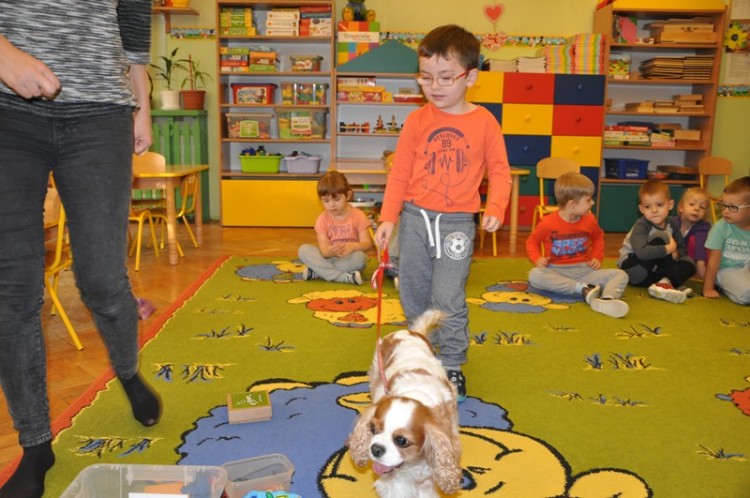 Maluchy z Przedszkola nr 18 wiedzą, jak opiekować się psem, dk, materiały prasowe Przedszkole nr 18