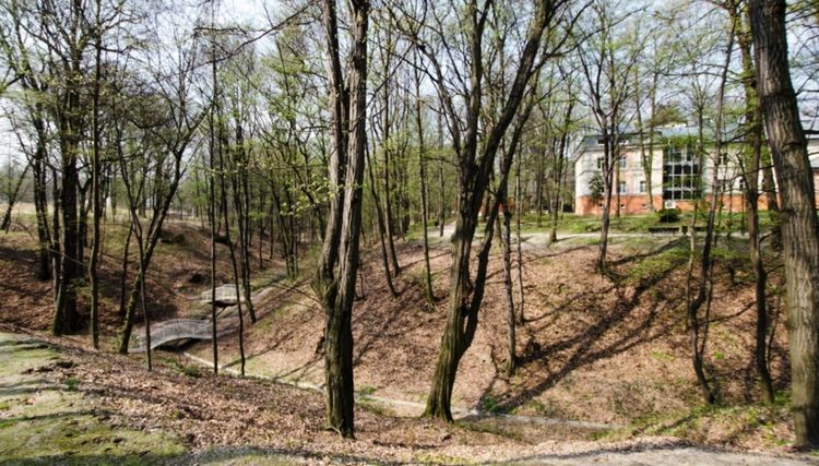 Jastrzębie podobnie jak Wrocław, ma swoje parkowe mostki… miłości, Aneta Czarnocka-Kanik