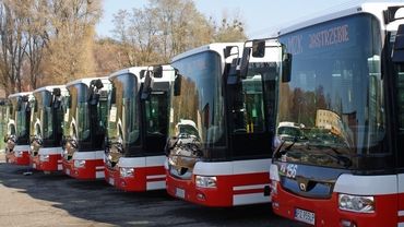 Darmowe przejazdy autobusami dla wszystkich!