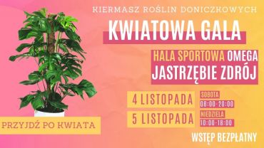 Kwiatowa Gala w Jastrzębiu-Zdroju – roślinny kiermasz już wkrótce!