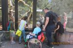 Podopieczni ZSS 10 z wizytą w chorzowskim zoo, facebook ZSS 10