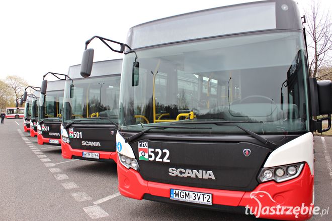 Autobusy, które będą jeździć po jastrzębskich ulicach, Patrycja Wróblewska-Wojda