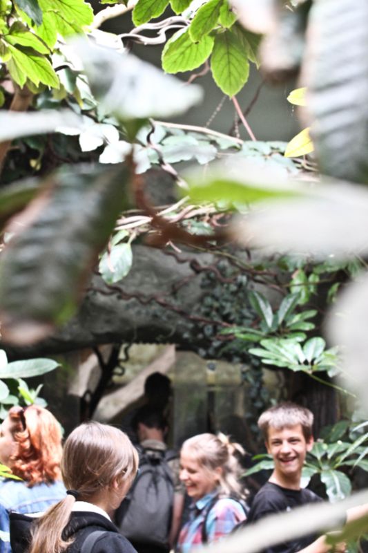 Dzieciaki z ZS11 na wycieczce w zoo, materiały prasowe