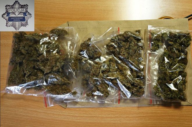 20-latek z 13 gramami marihuany wpadł w ręce policjantów, KMP Jastrzębie-Zdrój