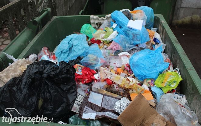 Władze miasta chcą nakłonić jastrzębian do segregowania śmieci