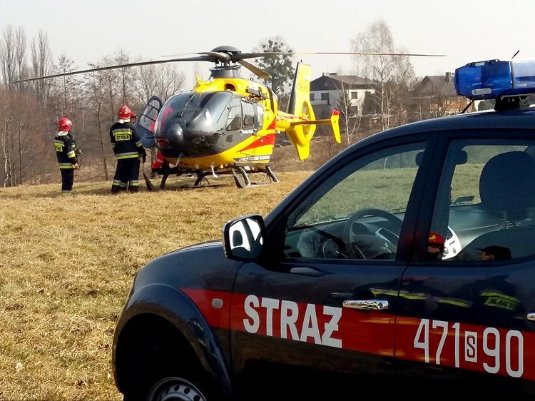 W Ruptawie mężczyzna został przygnieciony przez drzewo, PSP w Jastrzębiu-Zdroju