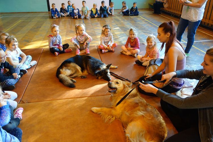 Dzieci z Przedszkola nr 2 wzięły udział w dogoterapii, Przedszkole nr 2 w Jastrzębiu-Zdroju