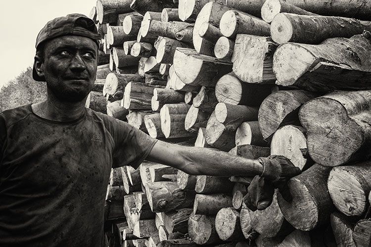 Produkcja węgla drzewnego na zdjęciach w „Ciasnej”, Krzysztof Lachowicz