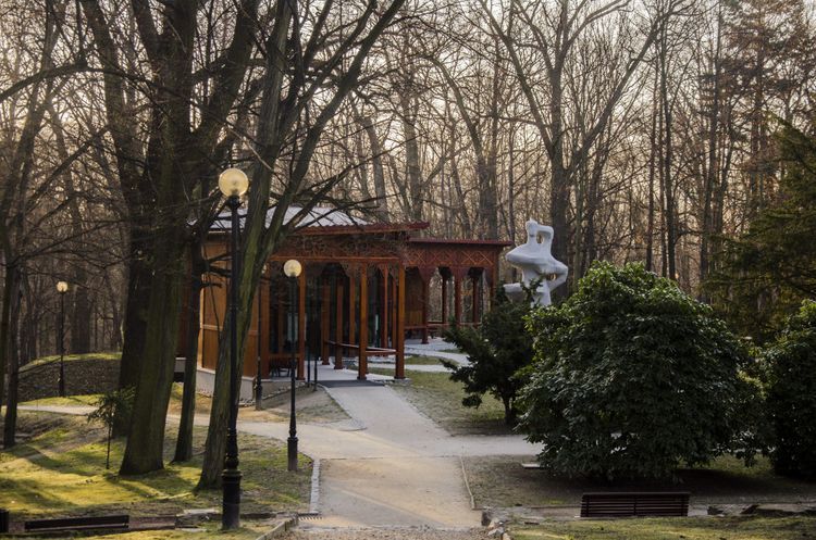Władze miasta pytają mieszkańców o to, jaki powinien być Park Zdrojowy, UM w Jastrzębiu-Zdroju