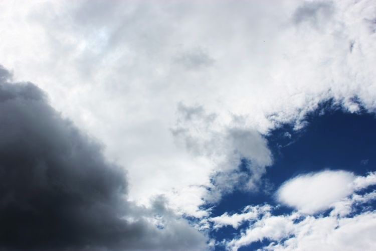Dzień ze zwierzakami pod zachmurzonym niebem – prognoza pogody, pww