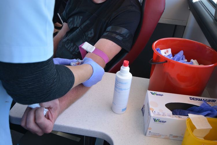 Zasłużeni Honorowi Dawcy Krwi jeżdżą za darmo, materiały prasowe