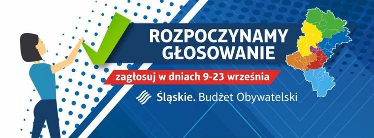 Budżet obywatelski Śląska. Na jakie pomysły głosujemy?, 