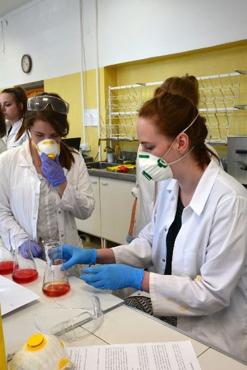 Młodzi badacze z Jastrzębia biorą udział w międzyszkolnym projekcie naukowym, Karolina Dziekanowska