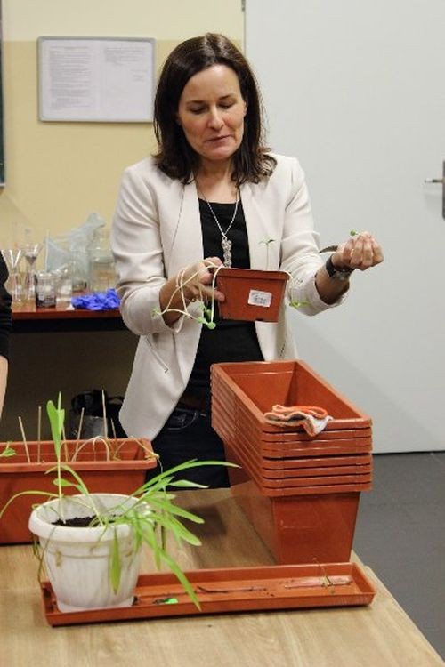 Analitycy „Sobieskiego” badają przydatność roślin do transportu szkodliwych pierwiastków, Karolina Dziekanowska