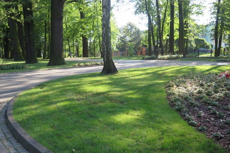 Sąsiednia gmina zaprasza na spacer do zrewitalizowanego  parku, UG w Pawłowicach