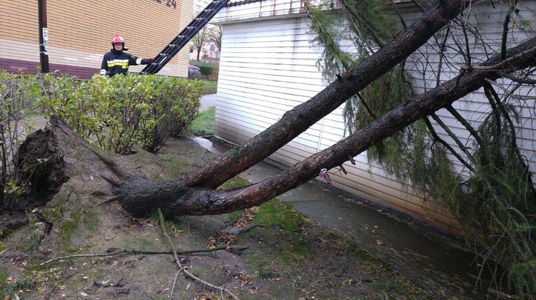 Połamane drzewa, zalane ulice. Orkan Grzegorz sieje spustoszenie, KM PSP w Jastrzębiu-Zdroju