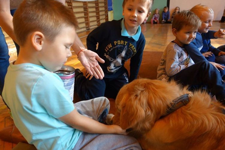 Dogoterapia w stowarzyszeniu „Tęcza”. Dzieci opiekowały się psami, Stowarzyszenie Na Rzecz Dzieci Niepełnosprawnych i Ich Rodziców „Tęcza”
