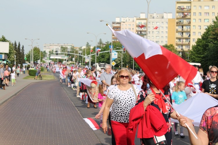 Jastrzębianie przenieśli biało-czerwoną flagę ulicami miasta, nm