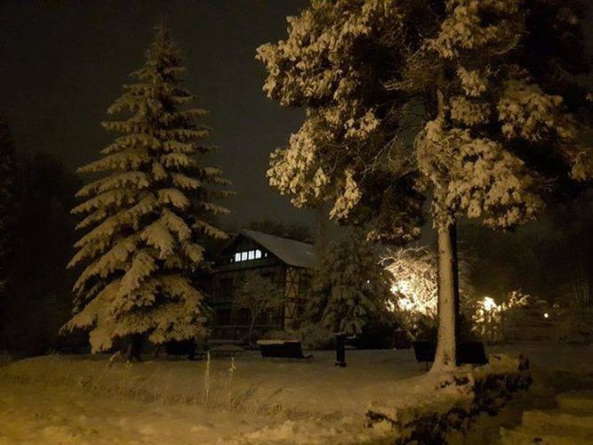 Zimowa aura w Parku Zdrojowym, Mariusz Łukasik