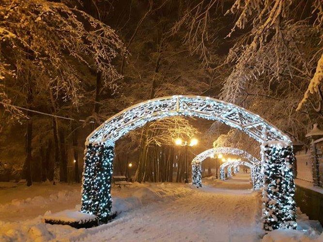 Zimowa aura w Parku Zdrojowym, Mariusz Łukasik
