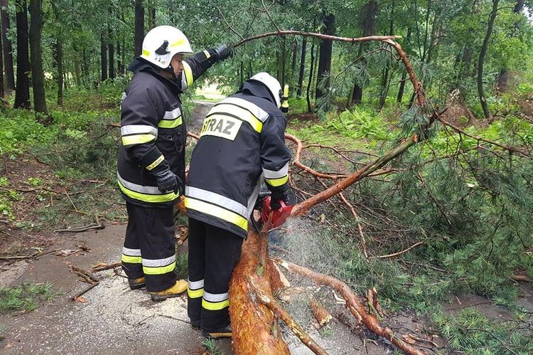 Powalone drzewa i zalane ulice przez kilkanaście godzin utrudniały życie kierowcom, OSP Szeroka