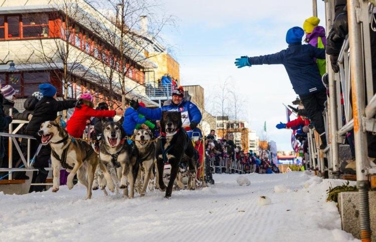 Podróżują psimi zaprzęgami po Laponii. Opowiedzą o tym w bibliotece, materiały prasowe MBP Jastrzębie-Zdrój