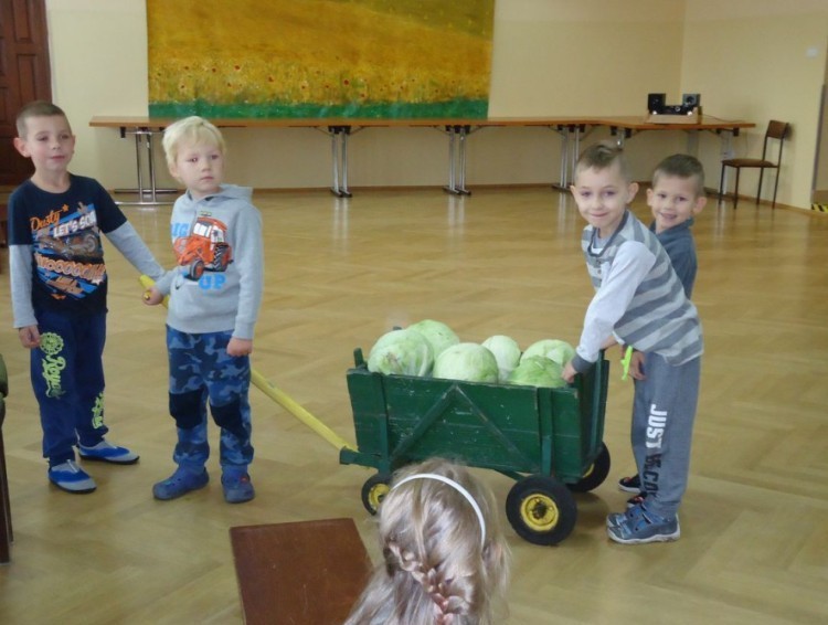 Przedszkolaki pojechały do Żor, by dowiedzieć się jak kisić kapustę, materiały prasowe UM Jastrzębie-Zdrój