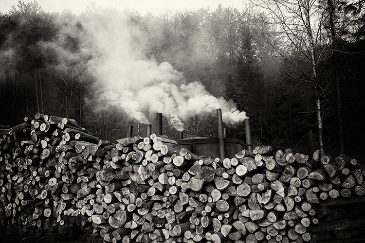 Produkcja węgla drzewnego na zdjęciach w „Ciasnej”, Krzysztof Lachowicz