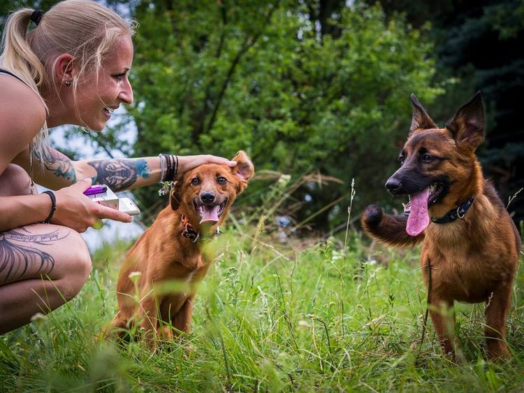Ludzie z pasją: każde uratowane psie życie motywuje do dalszej pracy, archiwum prywatne