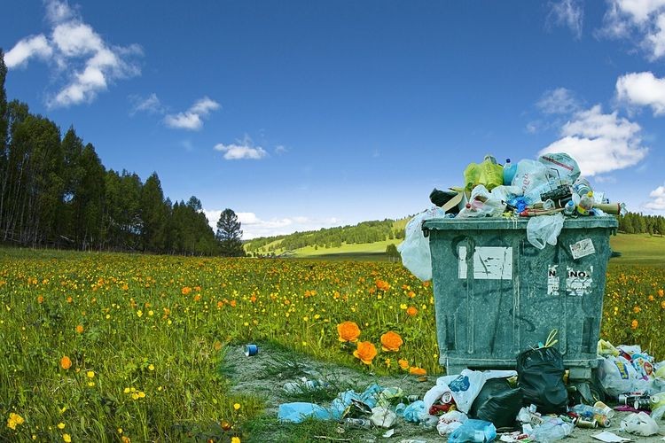 Wypadek przy zbiórce odpadów, pixabay.com