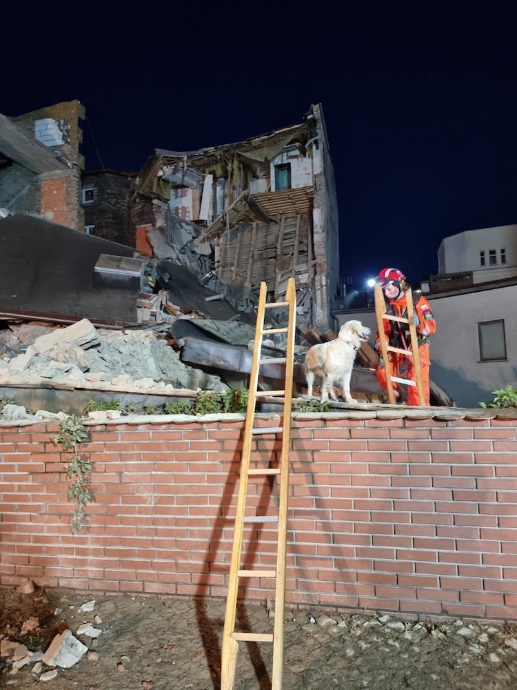 Jastrzębskie psy ratownicze szukały żywych w Chorzowie, FB: Komenda Miejska Państwowej Straży Pożarnej w Jastrzębiu-Zdroju