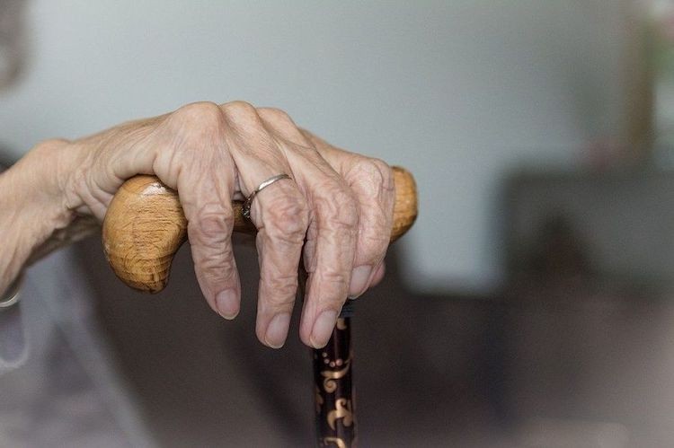Na co mogą liczyć jastrzębscy seniorzy?, pixabay