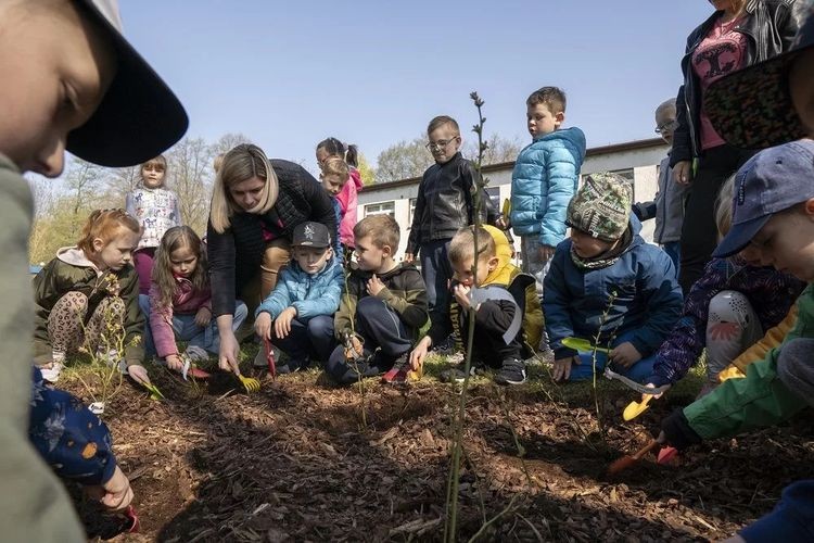 Dzieci tworzą ogródki. Akcja „Zielone Przedszkola”, miasto Jastrzębie-Zdrój