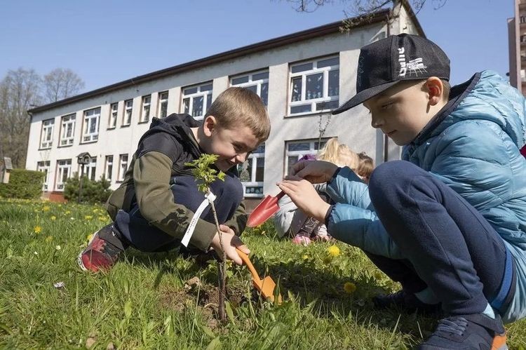 Dzieci tworzą ogródki. Akcja „Zielone Przedszkola”, miasto Jastrzębie-Zdrój