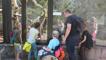 Podopieczni ZSS 10 z wizytą w chorzowskim zoo