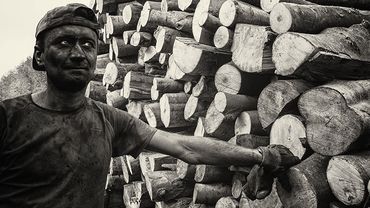 Produkcja węgla drzewnego na zdjęciach w „Ciasnej”