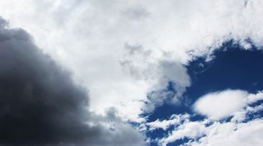 Dzień ze zwierzakami pod zachmurzonym niebem – prognoza pogody