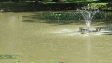 W stawie przy zabytkowej willi zamontowano fontannę. Dzięki temu poprawi się stan wody
