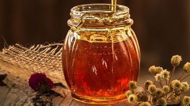 Wakacyjna Akademia 2017: dowiedz się, jak leczyć choroby produktami pszczelimi