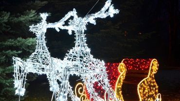 W Jastrzębiu pojawią się nowe ozdoby świąteczne