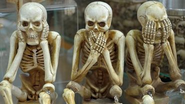 Przebadaj swoje kości – do Jastrzębia przyjedzie specjalny osteobus