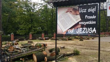 Wycinka drzew przy parafii w Zdroju. „To konieczność”