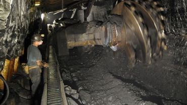 Oszukał 177 górników na 1,7 mln zł! Policja zatrzymała byłego prezesa Real Estate Inwestorbp