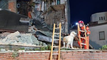 Jastrzębskie psy ratownicze szukały żywych w Chorzowie