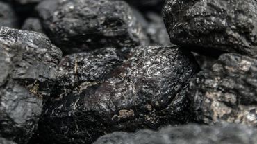 Duże podwyżki cen węgla w sklepie PGG. „Za 5 ton muszę zapłacić 1900 zł więcej”