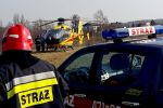 Ścinane drzewo przygniotło mężczyznę, PSP w Jastrzębiu-Zdroju