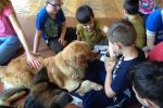 Psy terapeutyczne odwiedziły podopiecznych stowarzyszenia „Tęcza”, Stowarzyszenie Na Rzecz Dzieci Niepełnosprawnych i Ich Rodziców „Tęcza”