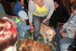 Psy jako terapeuci. Podopieczni „Tęczy” wzięli udział w dogoterapii, Stowarzyszenie Na Rzecz Dzieci Niepełnosprawnych i Ich Rodziców „Tęcza”