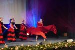 Koncert noworoczny w Jastrzębiu-Zdroju. Gala Muzyki Świata i Operetki, 