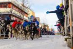 Podróżują psimi zaprzęgami po Laponii. Opowiedzą o tym w bibliotece, materiały prasowe MBP Jastrzębie-Zdrój